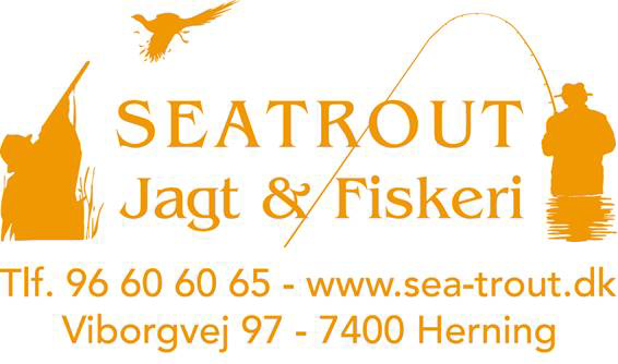 Seatrout