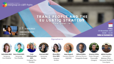 Trans people and the EU LGBTIQ Strategy: One year in