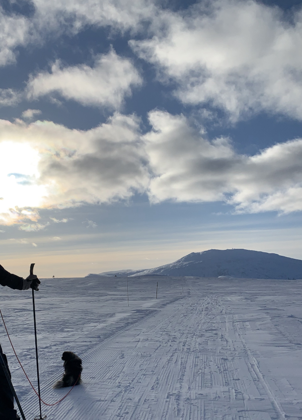 Snø og ski, Fiksjon og fremtidskrim, Serien Liber Mundi. Norsk Fantasyforfatter R.R. KIle. Seks bøker er utgitt, Kistepakta, Alene, Ei løvinnes hjerte, Vi sank i hav, Lysglimt på snø. Neste bok i serien er Rundløper.