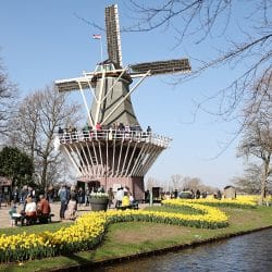 Keukenhof Lisse