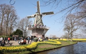 Keukenhof Lisse