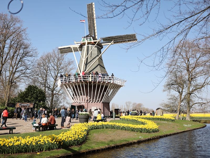 Keukenhof Lisse