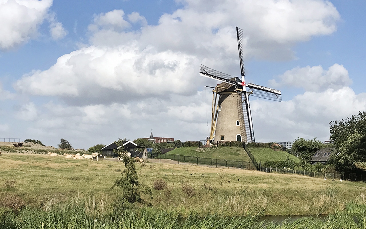 eersteling-molen-hoofddorp