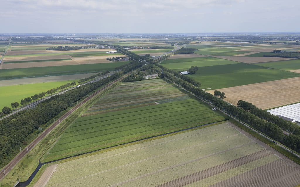 Hoofdvaart Haarlemmermeer