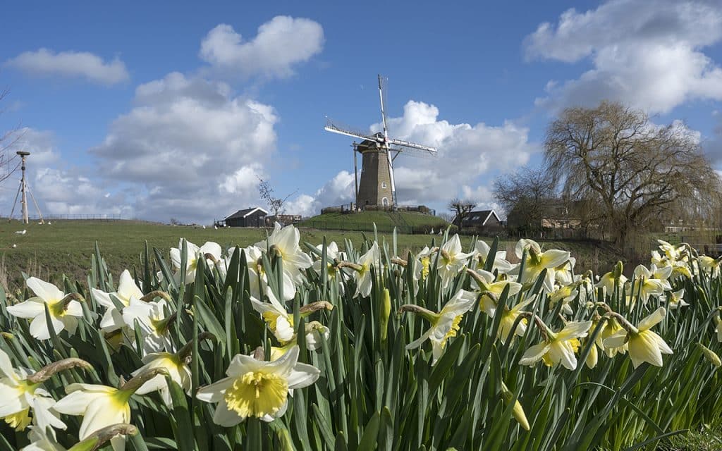 Korenmolen De Eersteling hoofddorp