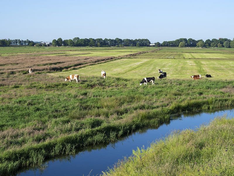 fietsen door Spaarnwoude