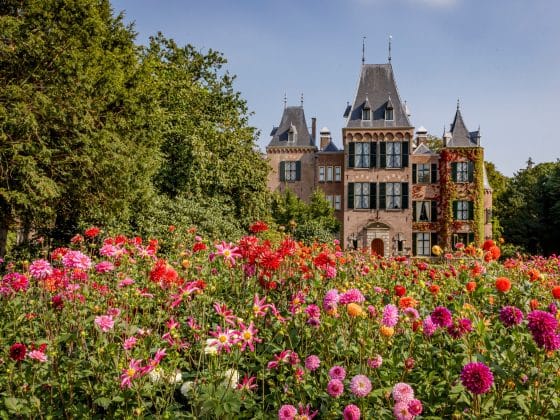 kasteel keukenhof dahlia dagen