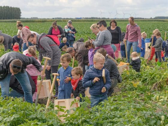 aardappeloogstdag parklanden park21