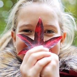 Liefs uit Haarlemmermeer natuurbingo