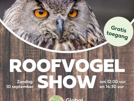 global garden roofvogelshow