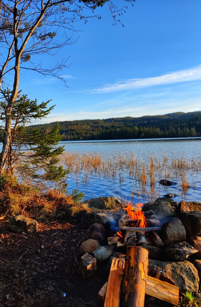 bål i skogen ved en innsjø 