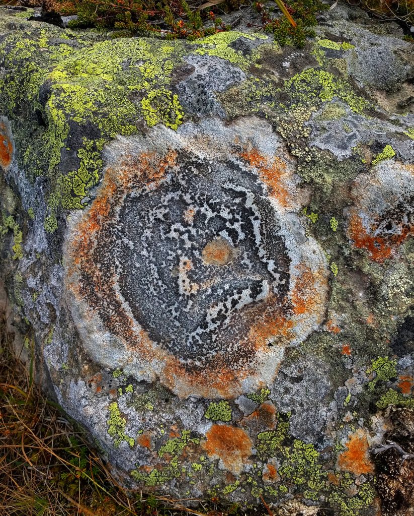 En stein med mønster