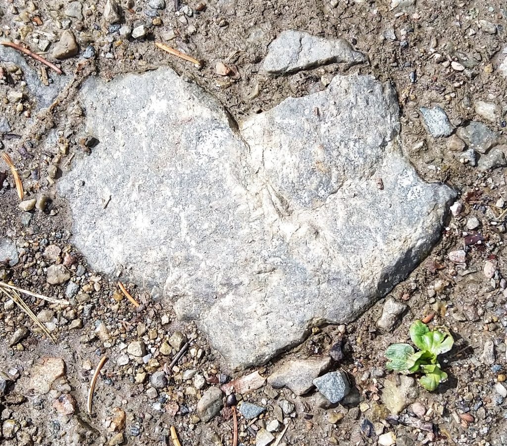 Et litt ødelagt hjerte av stein
