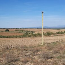 Delimitaciones en vías pecuarias