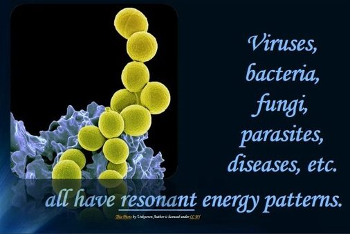 Virus, svampar och bakterier har alla sin resonans
