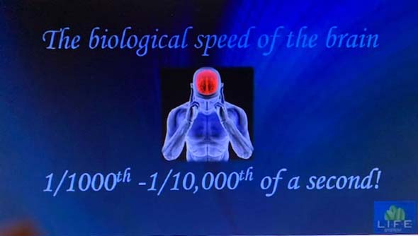 Hjärnans biologiska hastighet är en till en tiotusendel av en sekund