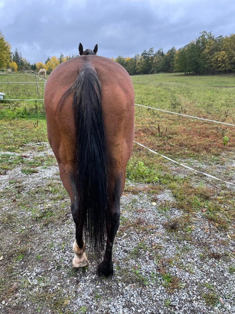 Rådgivning rakriktande arbete