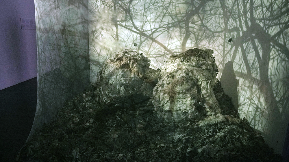 Echoes - Elin Maria Johansson