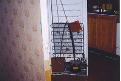 Smultron-4