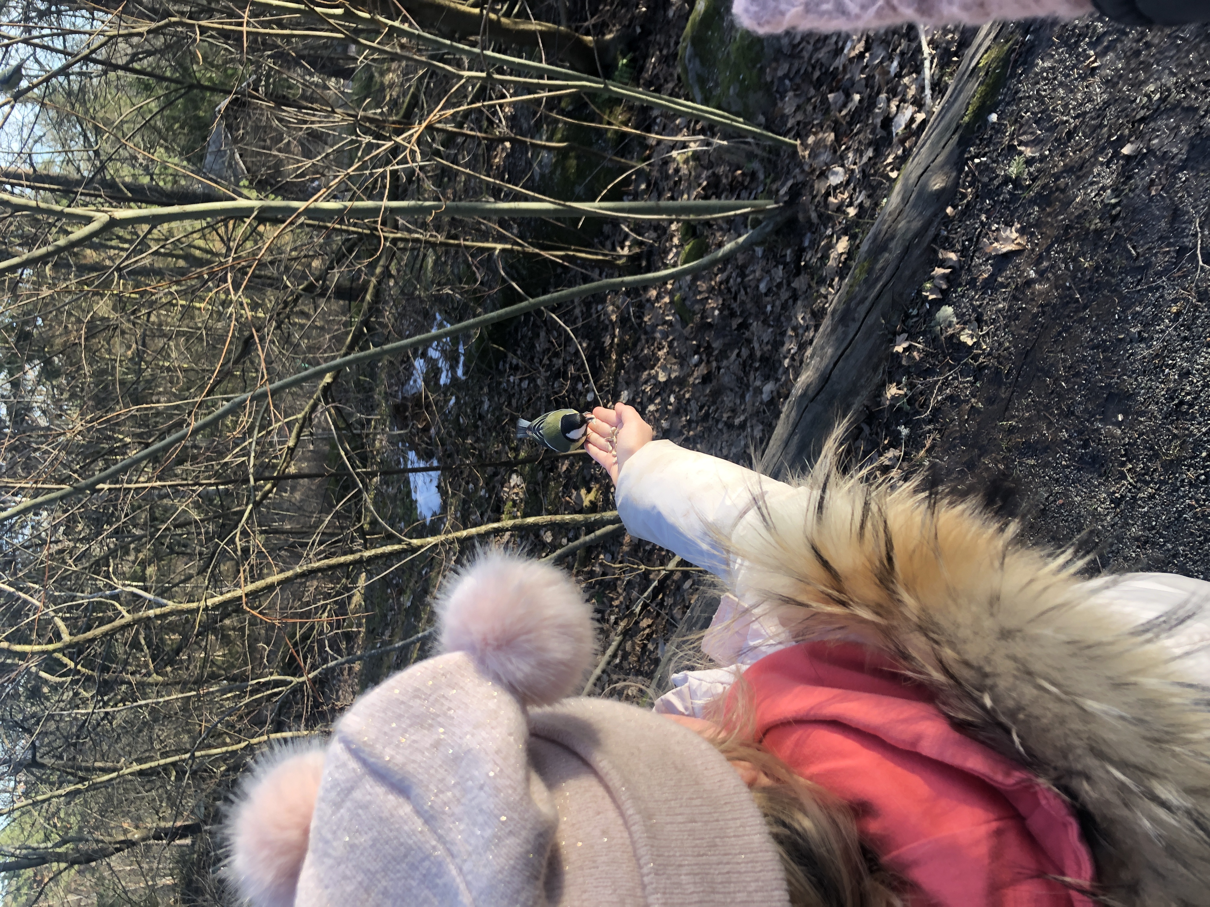 3575040F-9F89-42EB-BEF6-66DA77DC795E