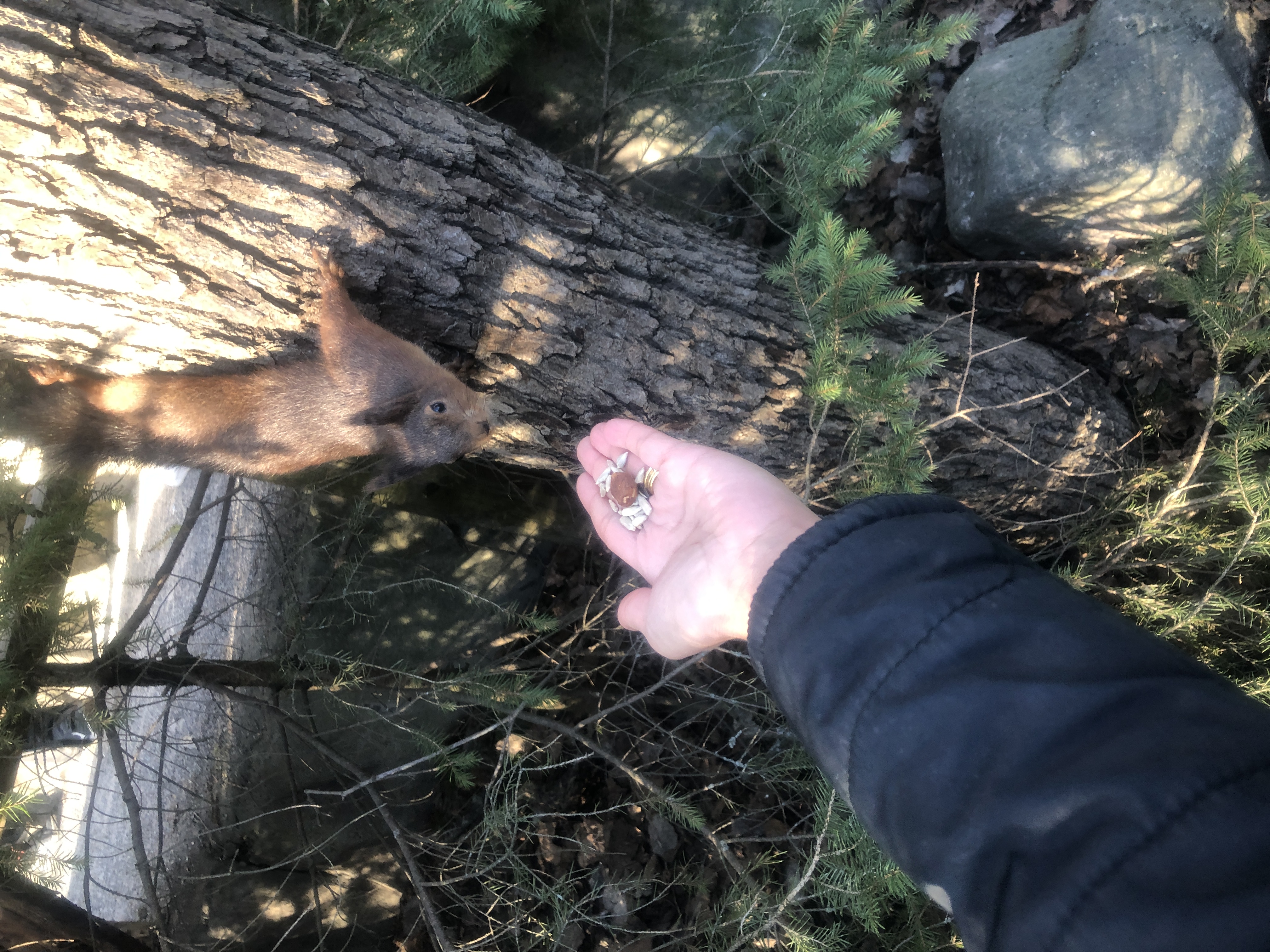 39A614DA-8B15-4D02-B590-237B9D73CC8B