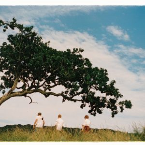 The Three Boys and The Tree, 2024