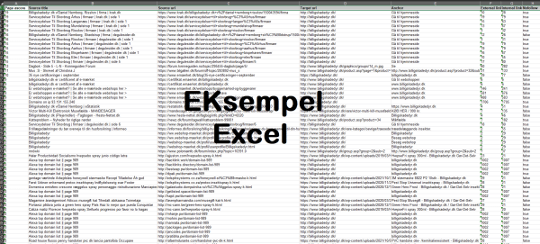 Excel Eksempel