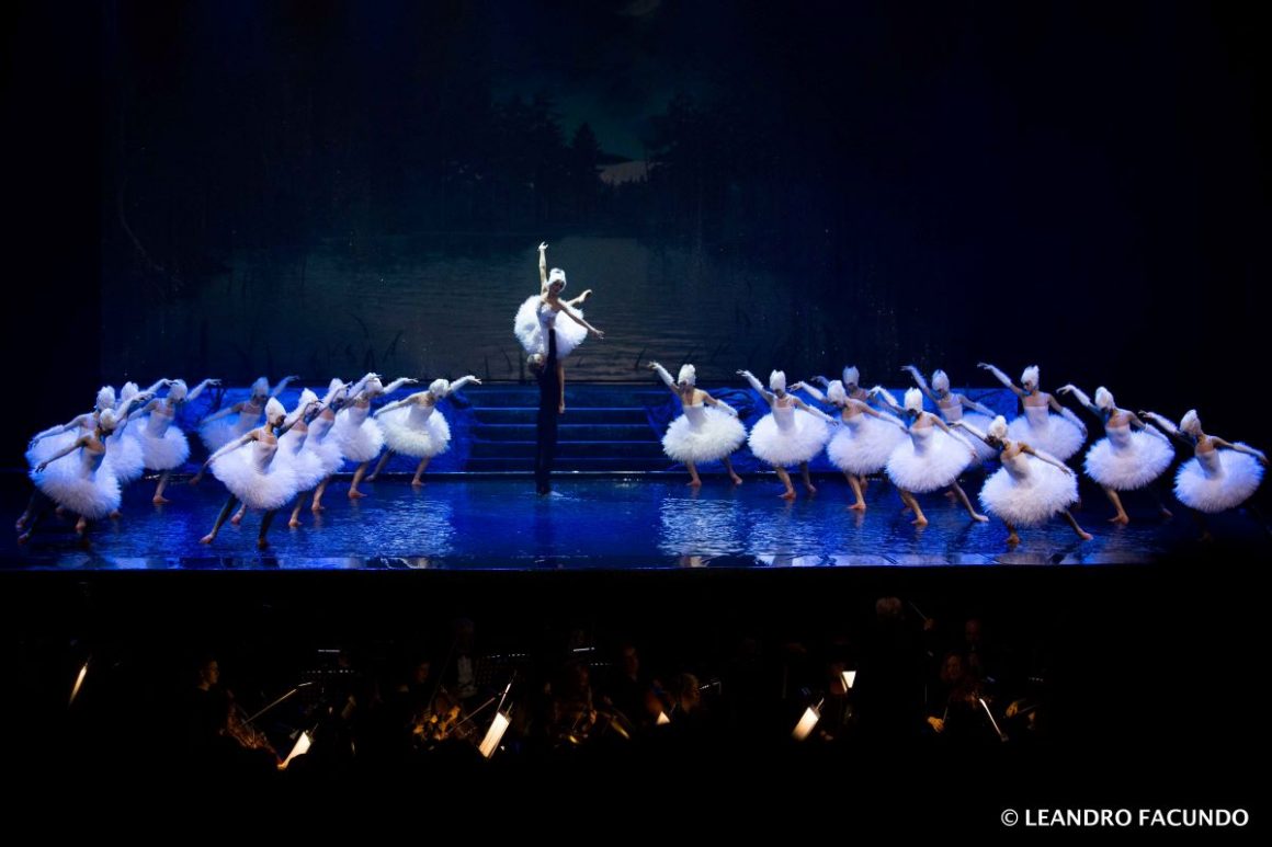 Swan Lake On Water | Live People Agency