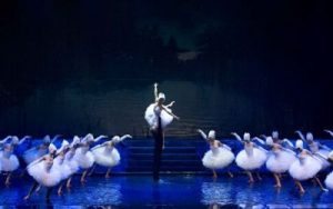 Swan Lake On Water | Live People Agency