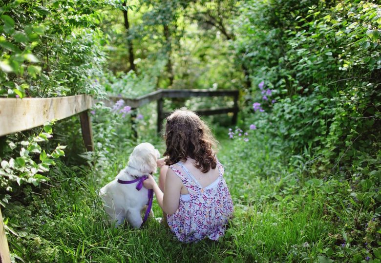 barn og hund venner