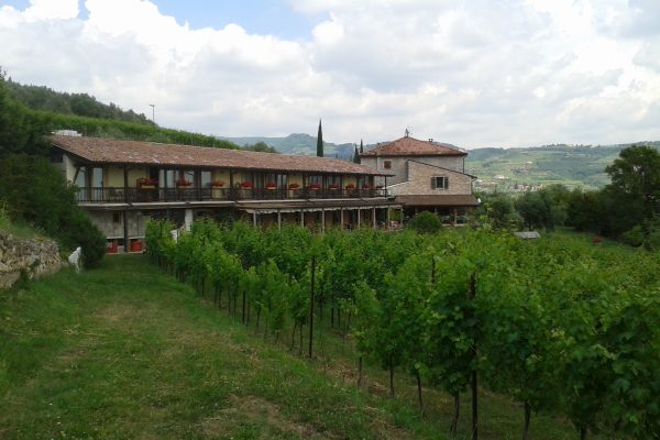 Vin & Vandring i Valpolicella