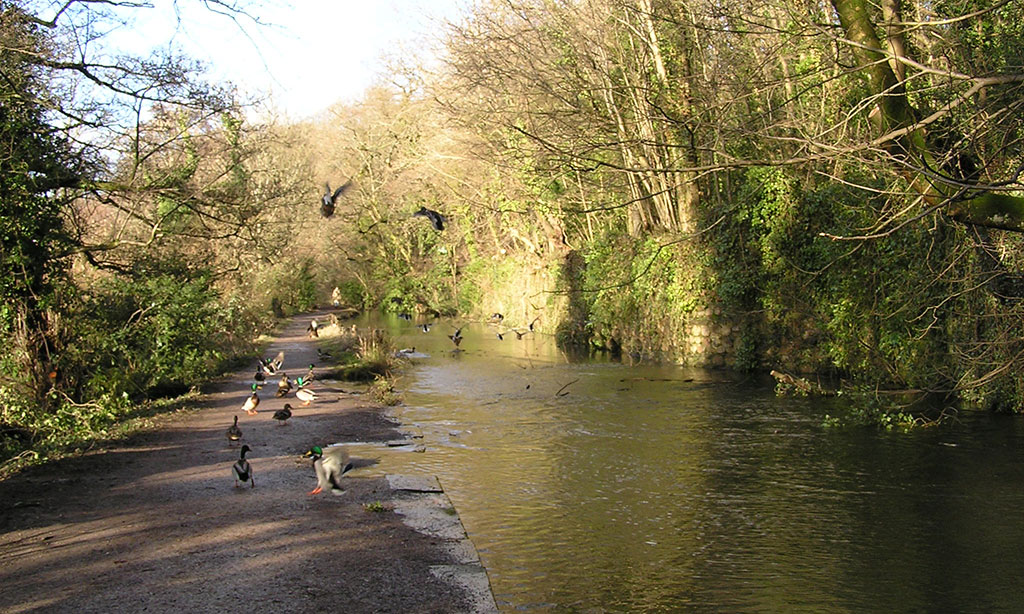 Glamorganshire-Canal