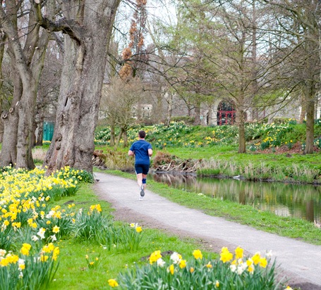 Bute Park Cardiff