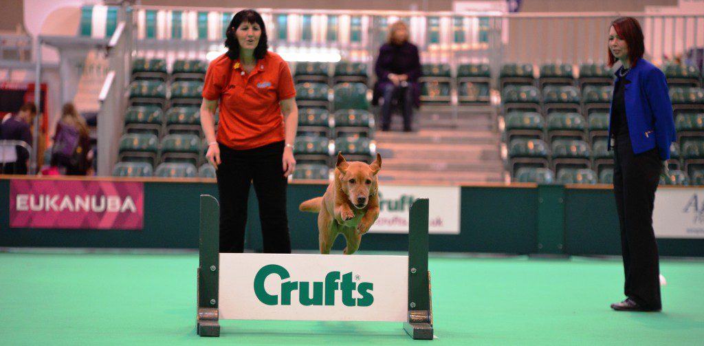 Crufts 2014