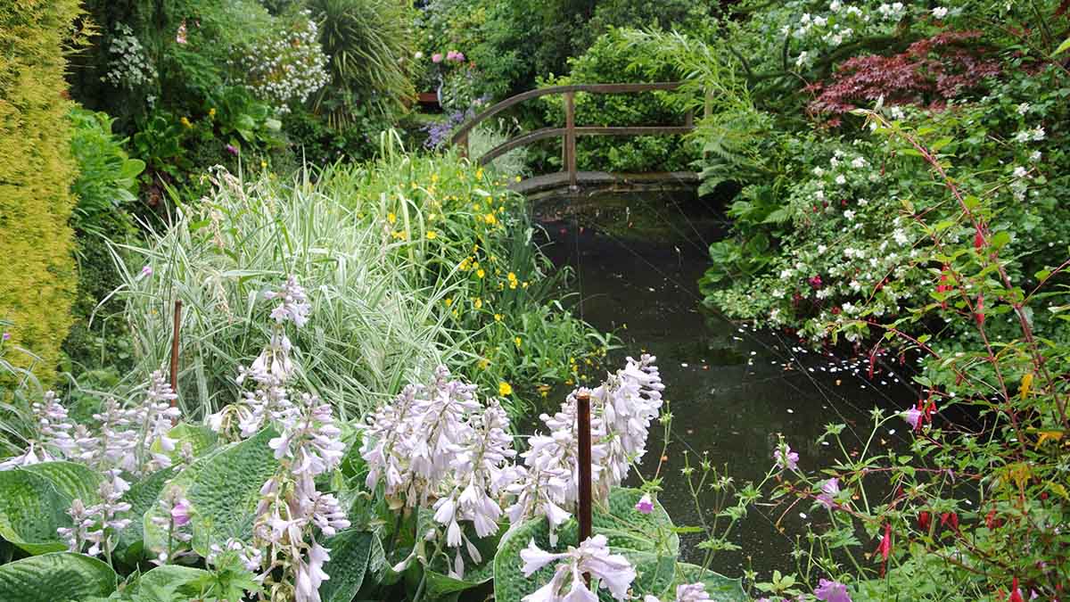 Pentyrch Open Gardens