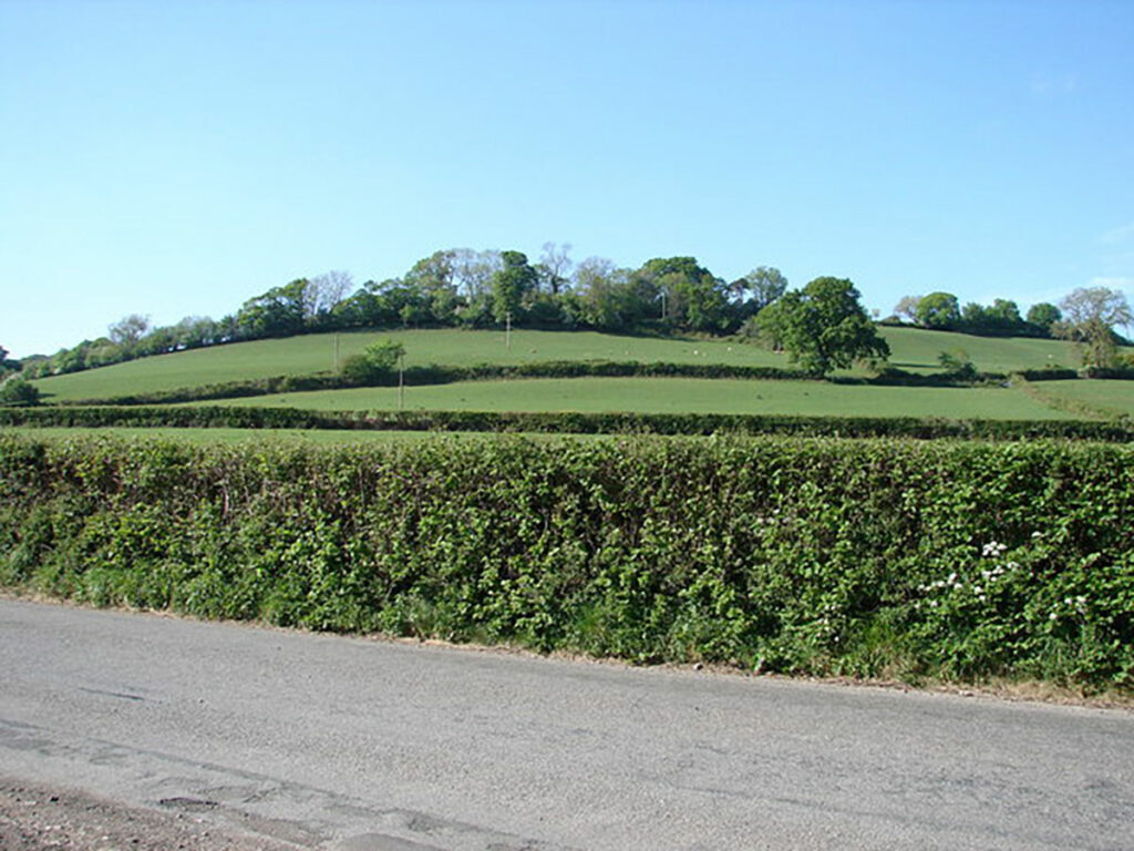 Llwynda-Ddu Camp