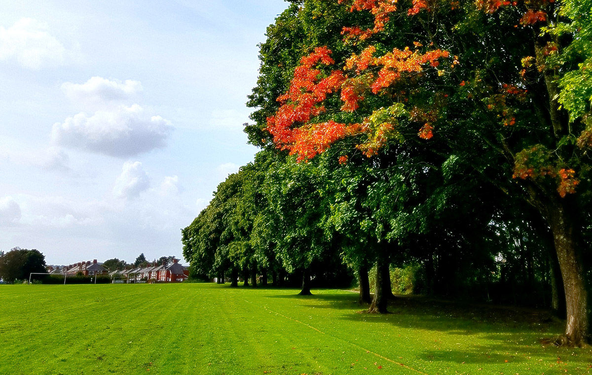 autumn-cardiff