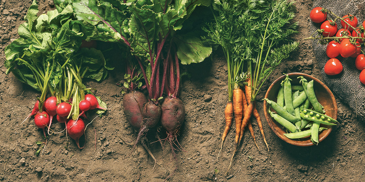 grow-your-own-vegetables