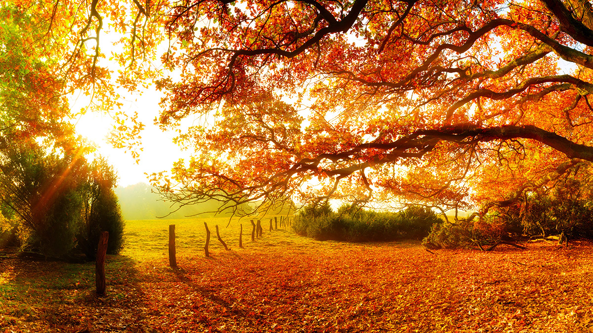 autumn-outdoors