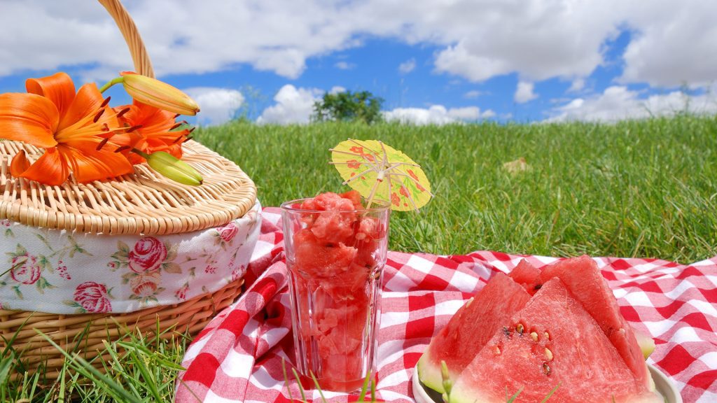 picnic-wales