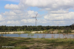 Baggersee - wird renaturiert