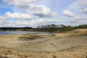 Baggersee - wird renaturiert