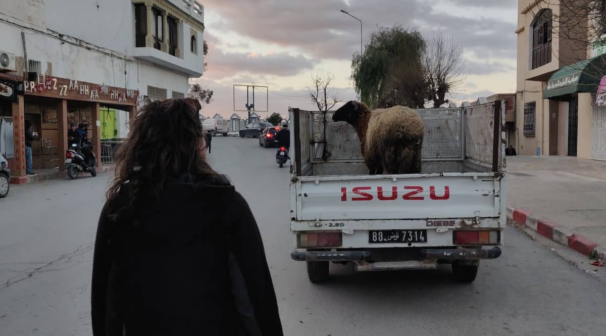 Walking in Téboursouk