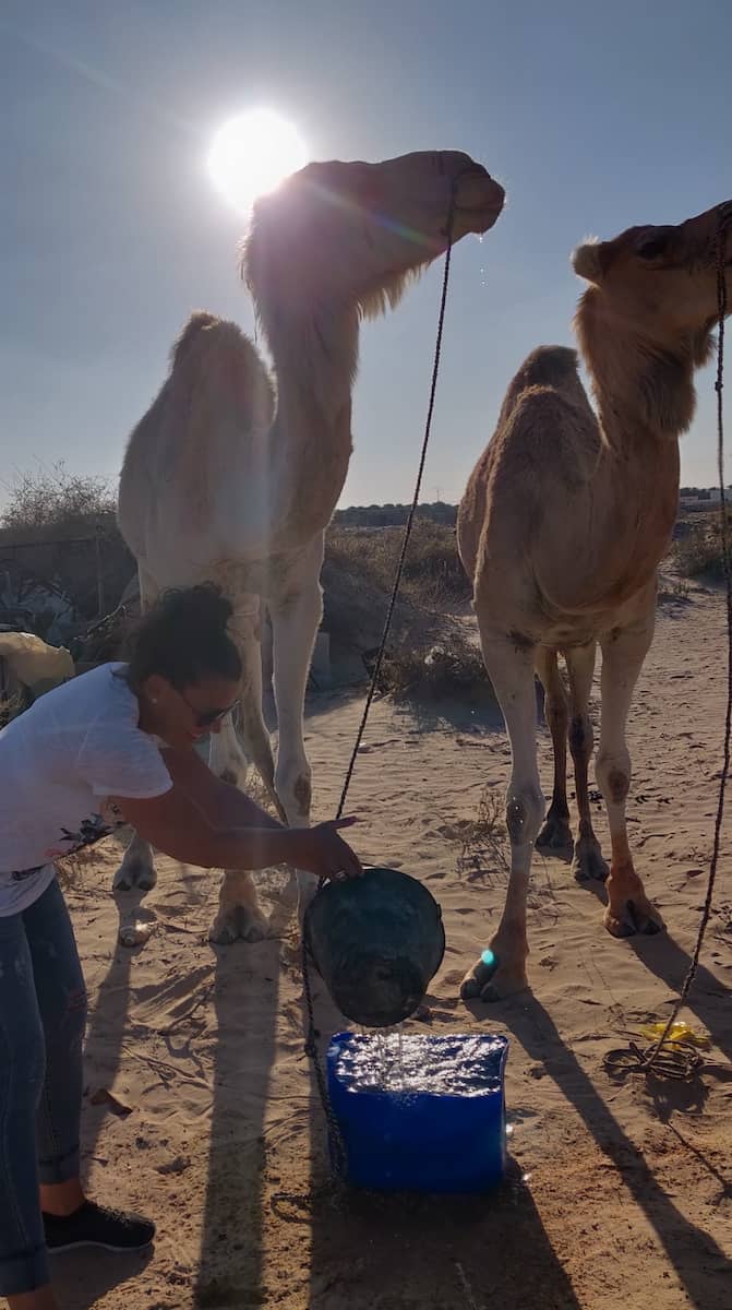 I'm filling the bucket for Bourak and Lahjal