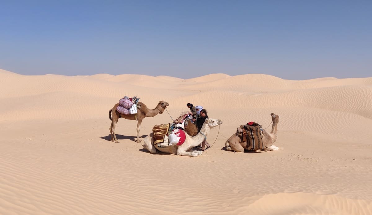 In the Sahara