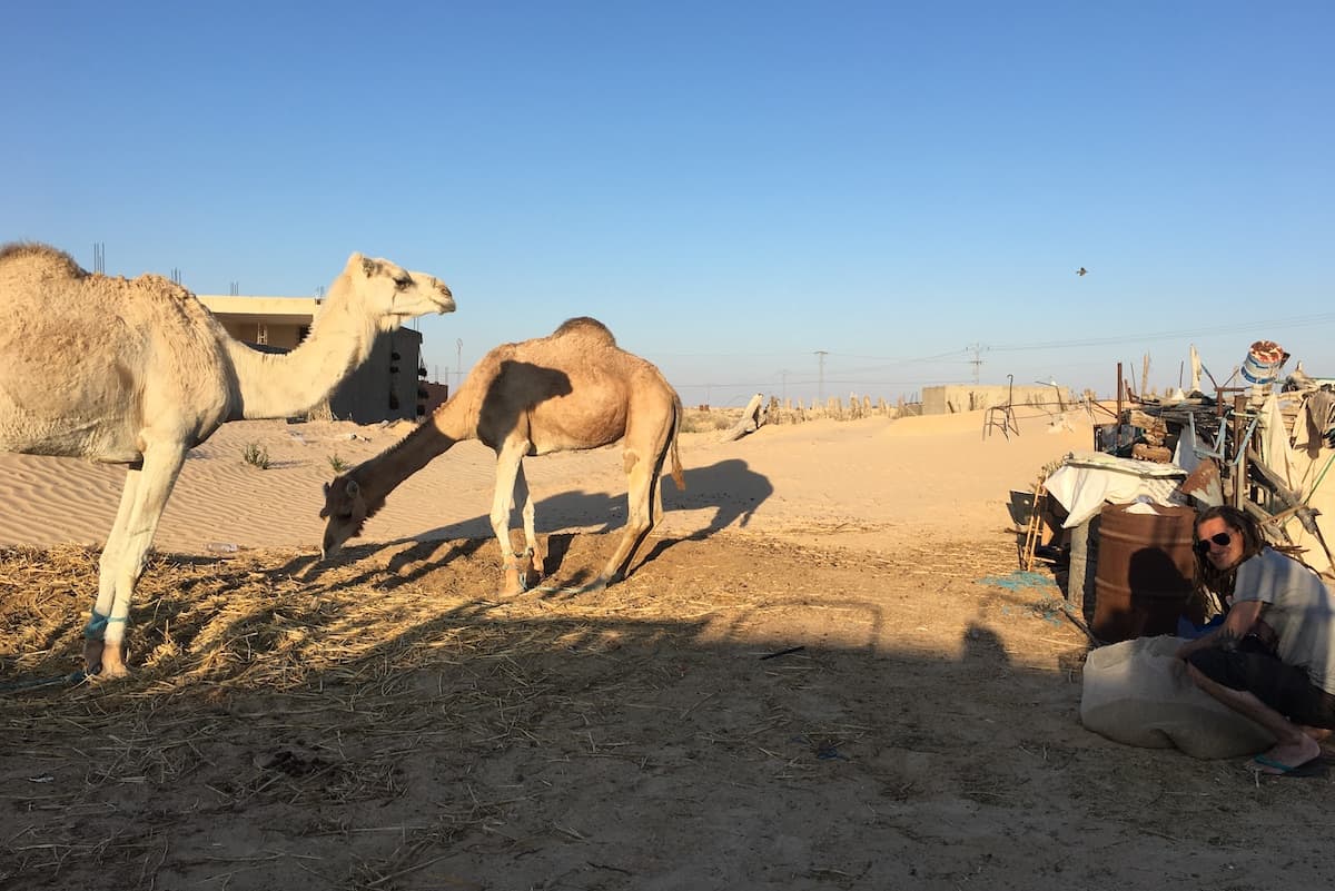 Bourak and Lahjal are waiting for their food to be ready