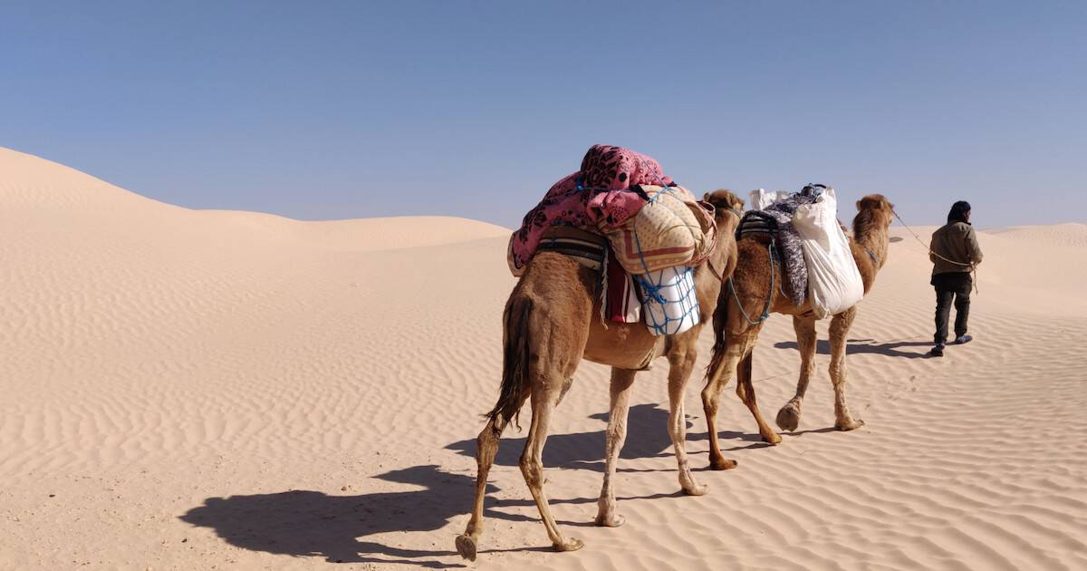 Our caravan in Sahara