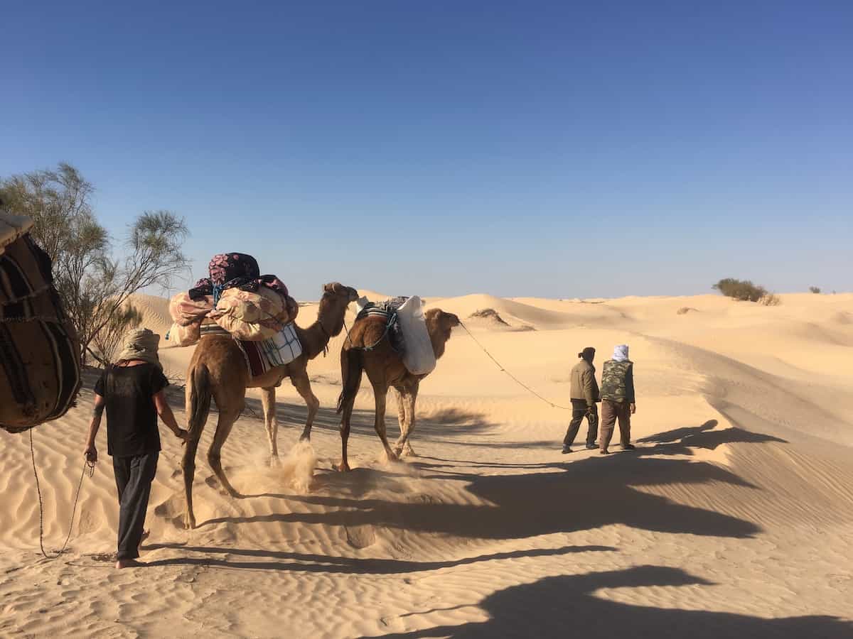 Walking in the Sahara desert
