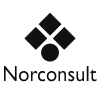 Norconsult logo trans