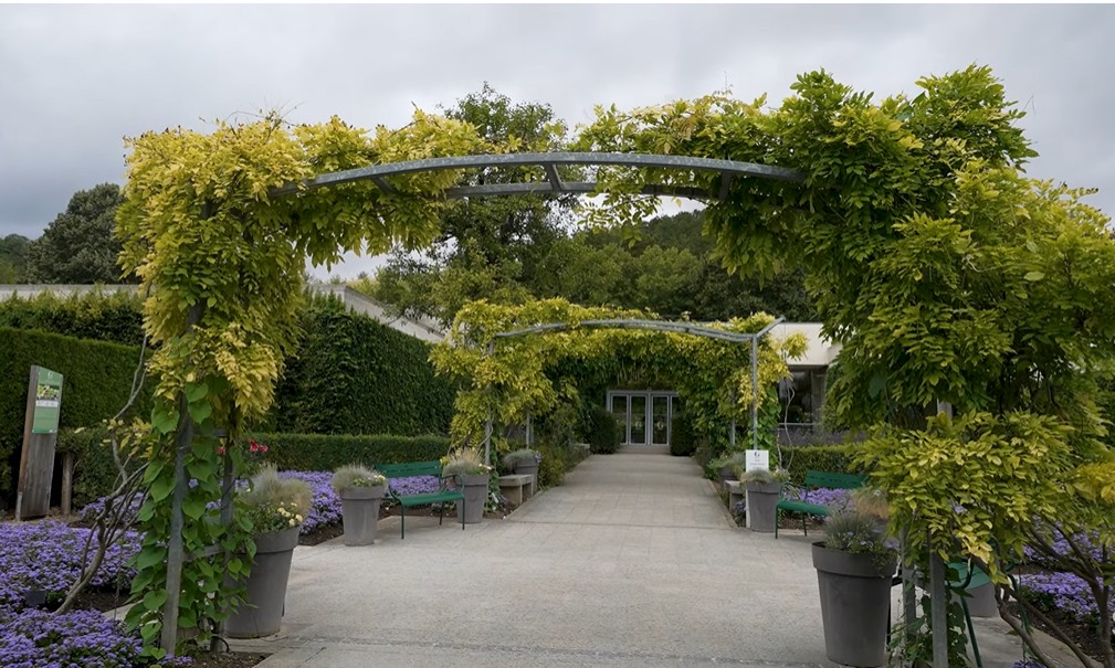 اجمل 5 اماكن في فرنسا في الربيع